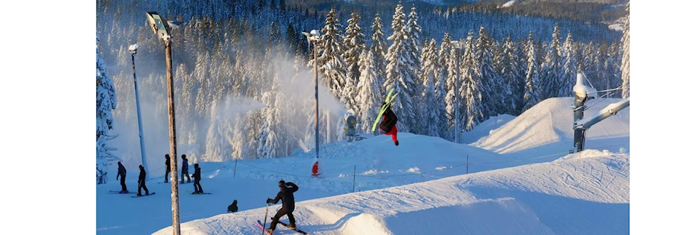 Alpine Ski/Snowboard party at Tryvann